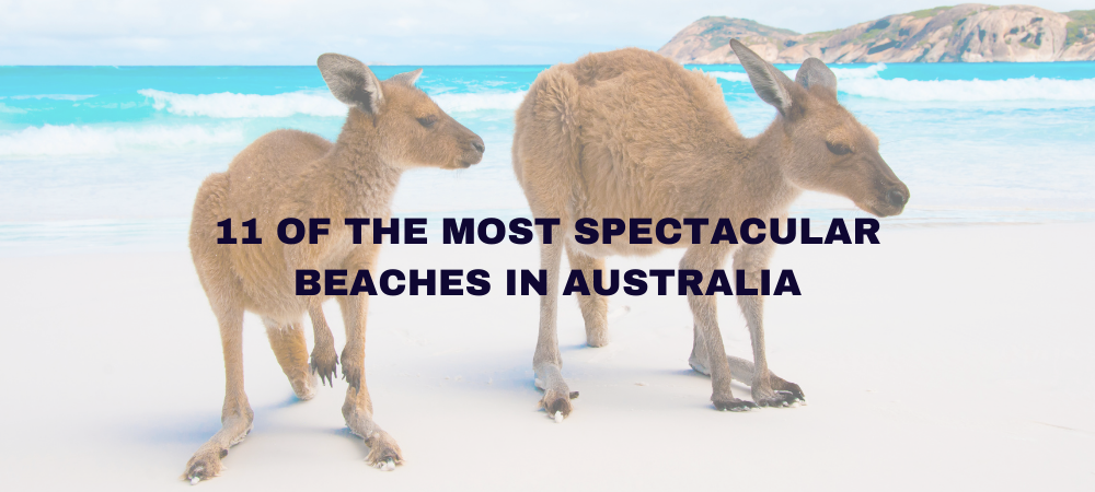 11 of the most spectacular beaches in Australia
