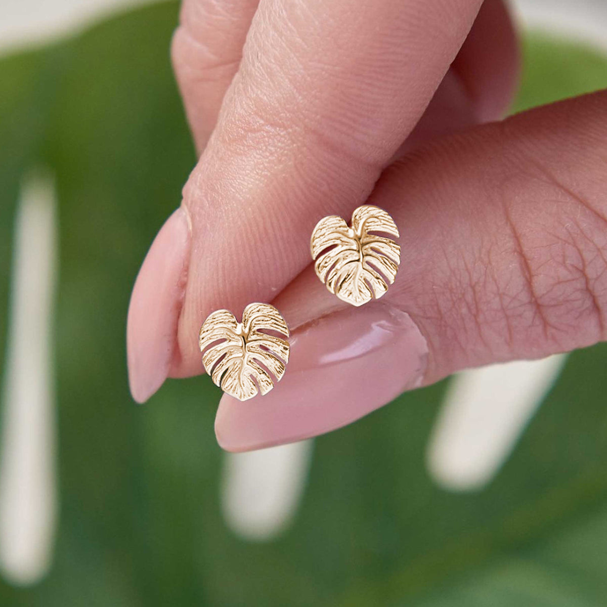 18ct gold vermeil palm leaf monstera stud earrings Scarlett Jewelllery