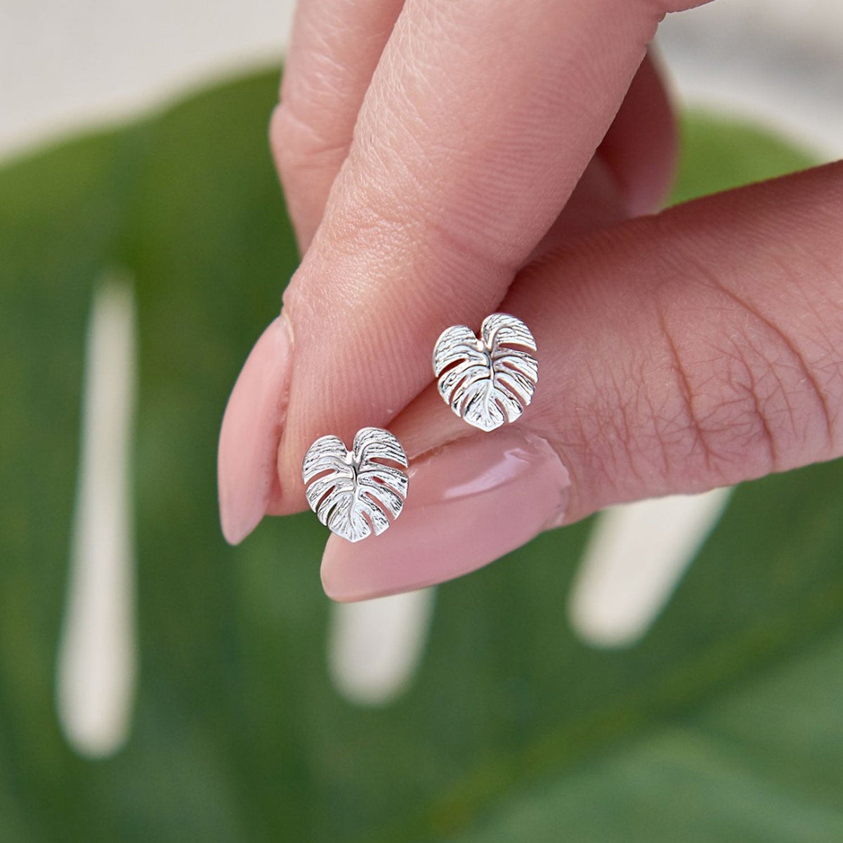 Monstera Palm Leaf Silver Stud Earrings Designer Scarlett Jewellery